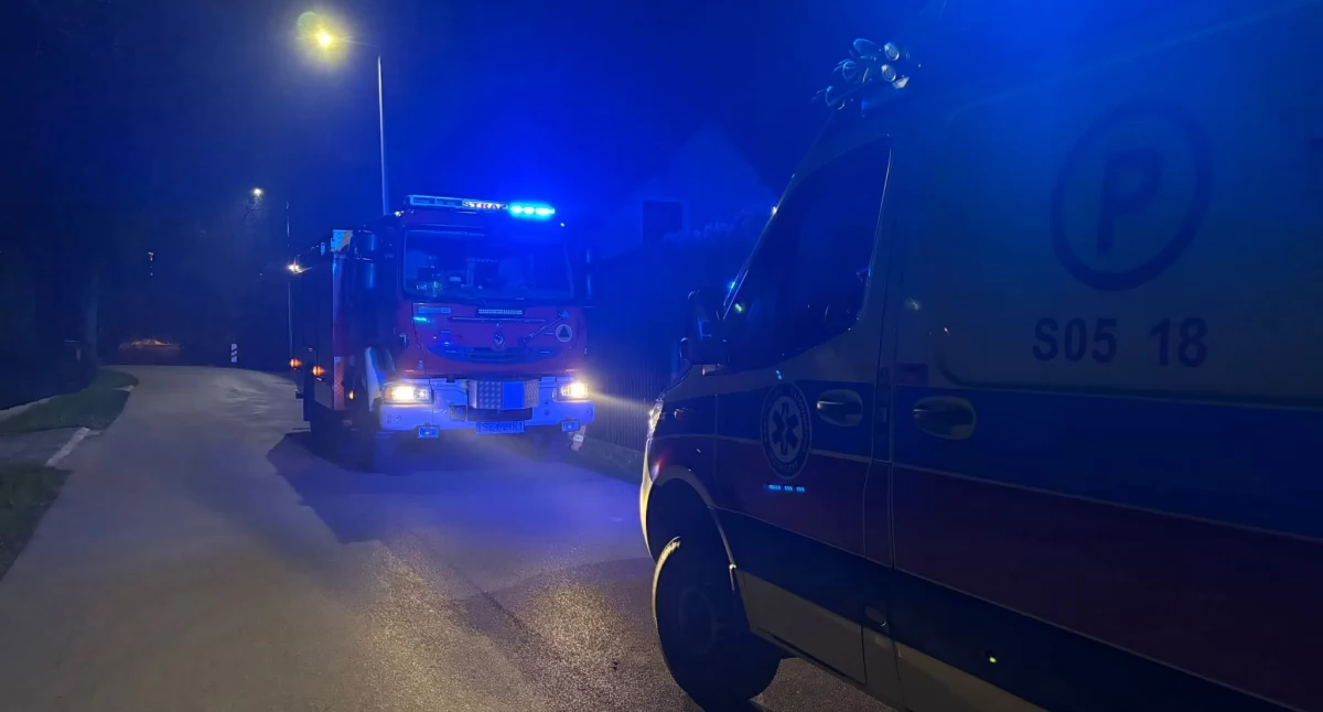 Zdj. OSP Łodygowice 