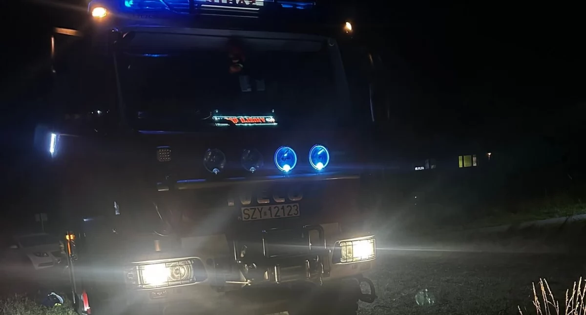 Pożar zarośli w Ujsołach gwałtownie opanowany