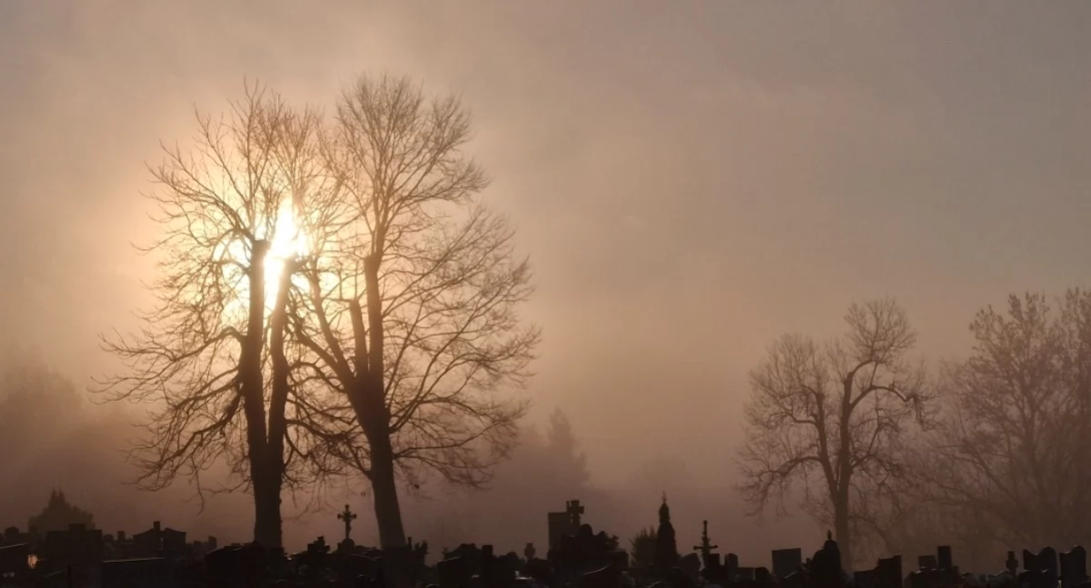 Nasze sprawy, Gęsta mgła utrudnia poranny ostrzeżenie dziś listopada - zdjęcie, fotografia