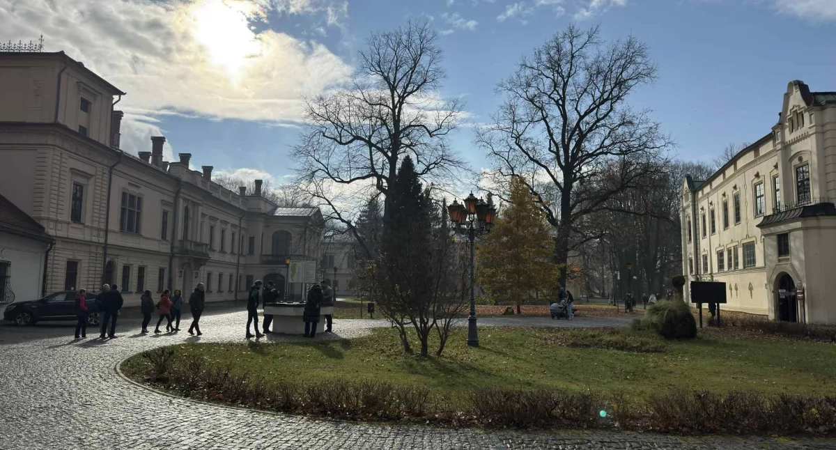 Nasze sprawy, Rzeźby drzew wystawa Zbigniewa Burego Muzeum Miejskim Żywcu - zdjęcie, fotografia