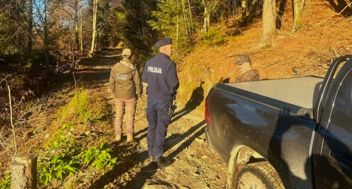 Nasze sprawy, Stroisz wspólna akcja policji Straży Leśnej terenie Beskidów - zdjęcie, fotografia