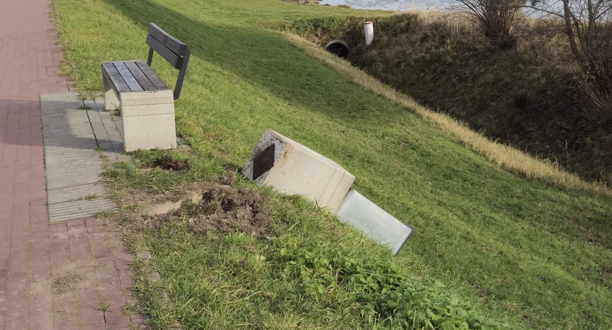 Nasze sprawy, Kolejny wandalizmu Jeziorem Żywieckim przewrócony wyrwany podłoża - zdjęcie, fotografia