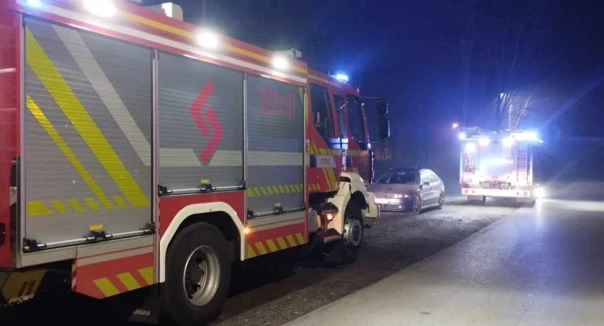 Interwencja strażaków przy ul. Makowej w Pewli Ślemieńskiej