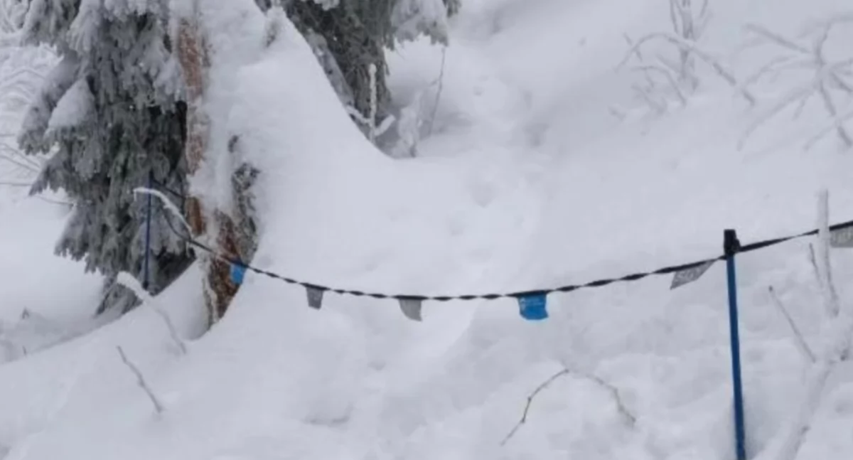 Zdj. Babiogórski Park Narodowy 