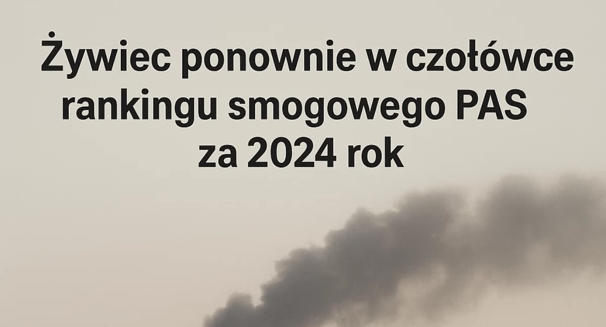 Nasze sprawy, Żywiec ponownie czołówce rankingu smogowego - zdjęcie, fotografia