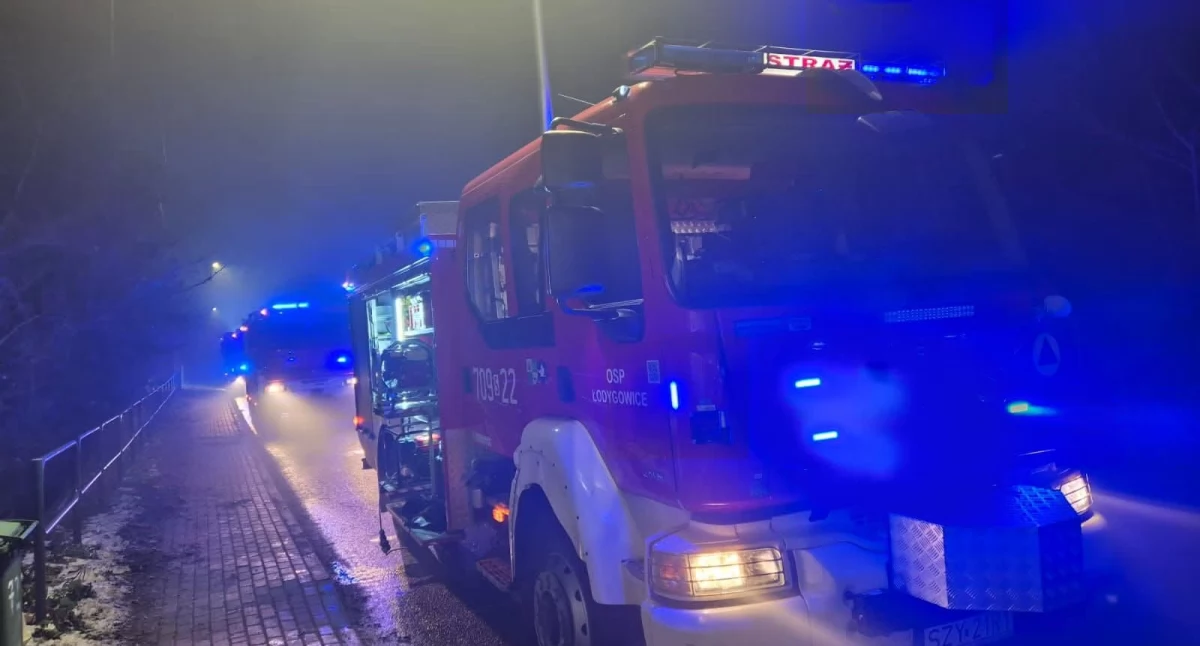 Zdj. OSP Łodygowice 