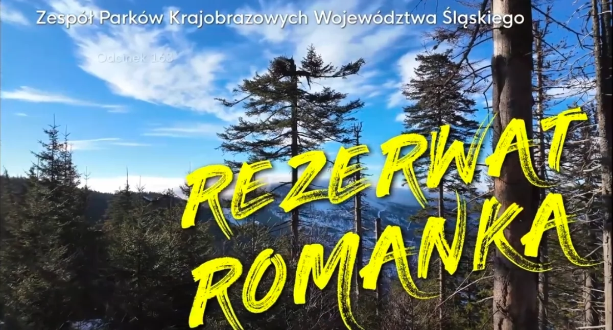 Atrakcje Turystyczne - Podróże małe i duże, Rezerwat Romanka ocalić fragment dawnej puszczy karpackiej - zdjęcie, fotografia