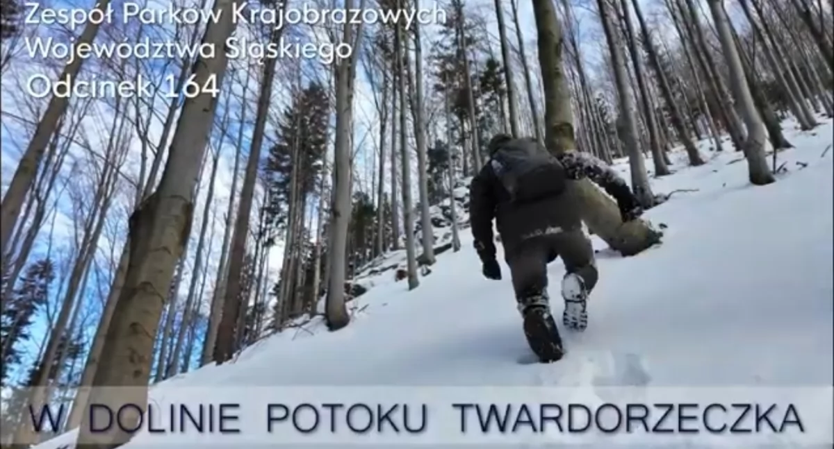 Atrakcje Turystyczne - Podróże małe i duże, Odcinek dolinie potoku Twardorzeczka - zdjęcie, fotografia