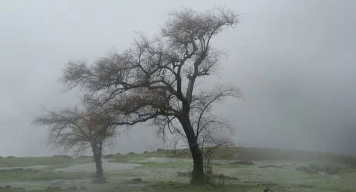 Nasze sprawy, Gęsta mgła możliwa śliskość ostrzeżenie meteorologiczne - zdjęcie, fotografia