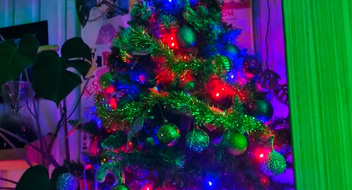 Nasze sprawy, Obchody tradycje pierwszego świąt Bożego Narodzenia - zdjęcie, fotografia