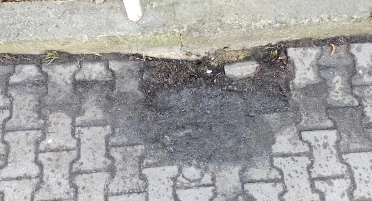 Fot. Fb Marian Kastelik 