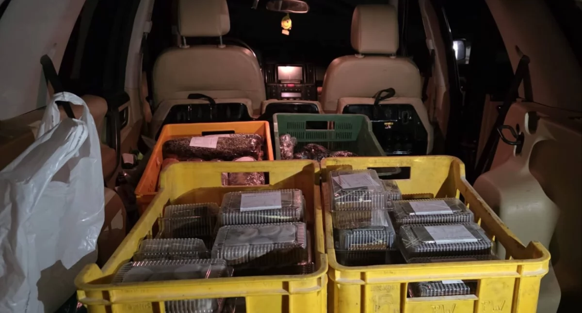 Nasze sprawy, Światło które potrzebuje rozgłosu - zdjęcie, fotografia