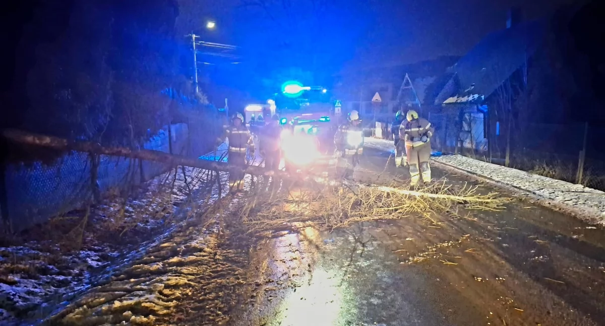 Zdj. OSP Łodygowice 