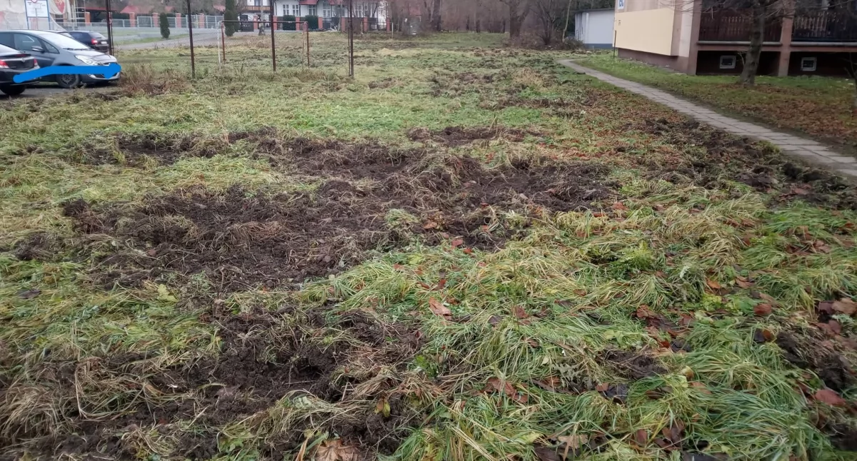 Zdj. Fb Marian Kastelik 