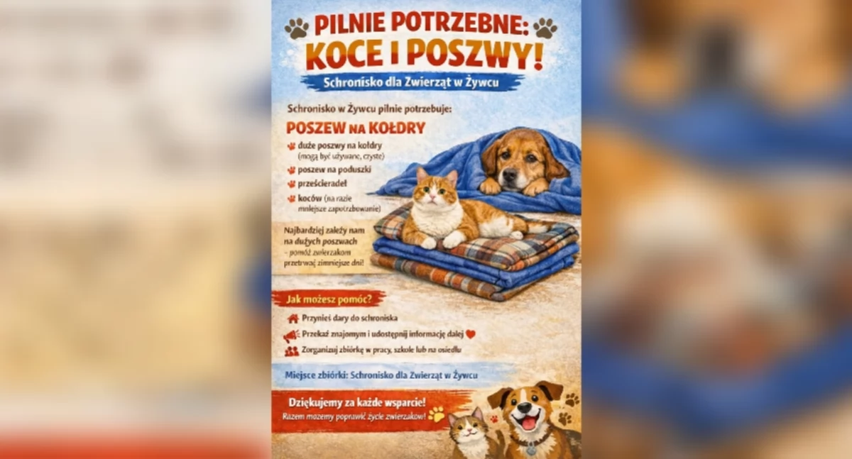 Nasze sprawy, Pilna prośba pomoc razem zadbajmy ciepło - zdjęcie, fotografia