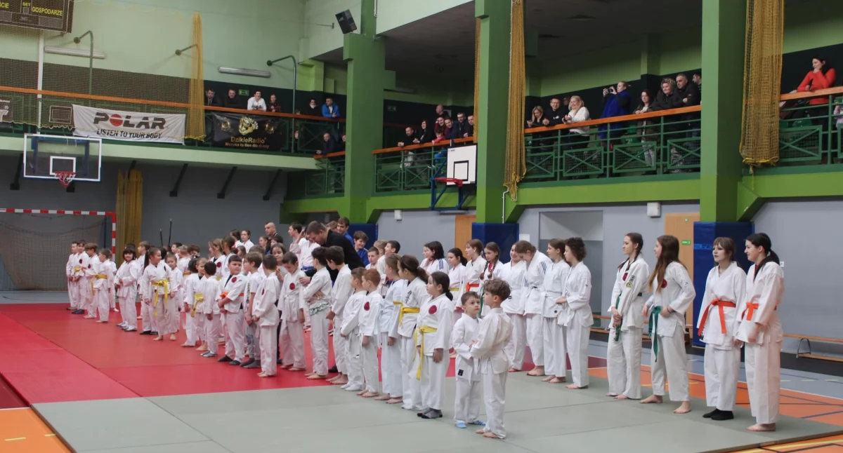 Nasze sprawy, Podsumowanie Dragon - zdjęcie, fotografia