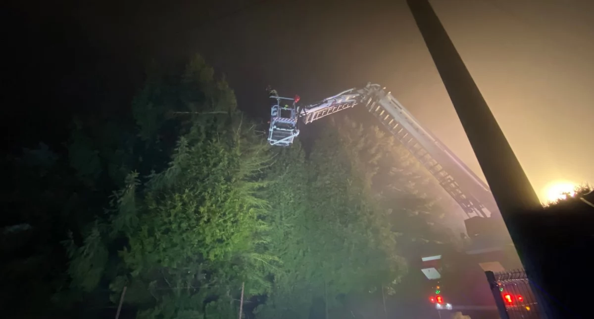 Z remizy, Usunięcie pochylonego drzewa Pietrzykowicach - zdjęcie, fotografia