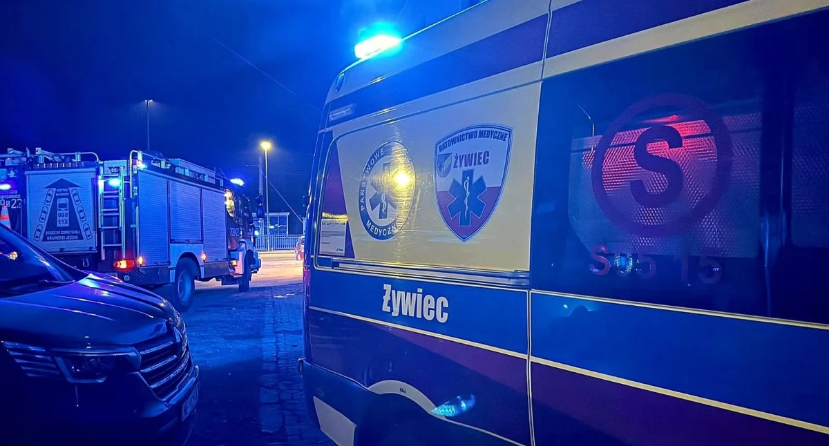 Zdj. OSP Łodygowice 