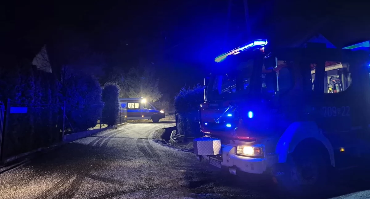 Zdj. Osp Łodygowice 