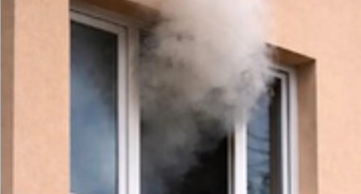 Nasze sprawy, Kuchenny zakończył zatrzymaniem poszukiwanego latka - zdjęcie, fotografia