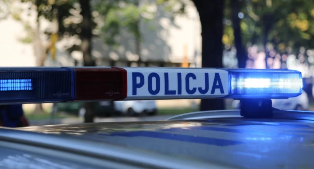 Nasze sprawy, latek powiatu żywieckiego zarzutem znęcania partnerką - zdjęcie, fotografia