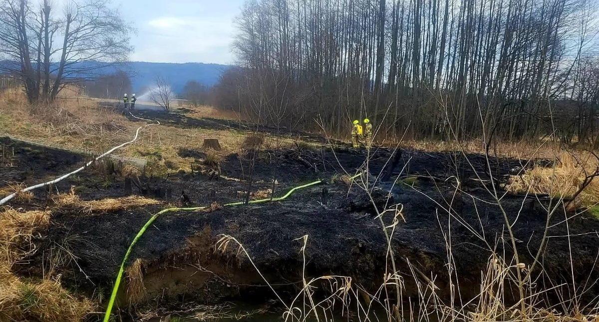 zdj. Osp Łodygowice