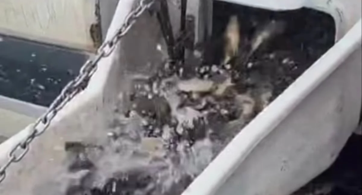 Znad wody, Impuls Jeziora Żywieckiego Start Sezonu Zarybień - zdjęcie, fotografia