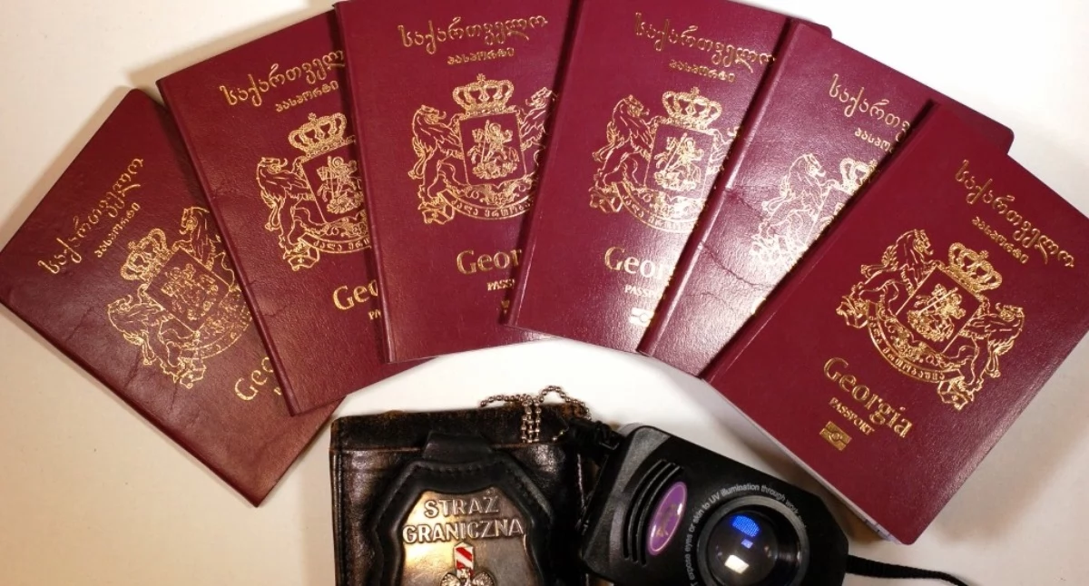 Nasze sprawy, Straż Graniczna podsumowuje kontrole cudzoziemców Śląsku - zdjęcie, fotografia