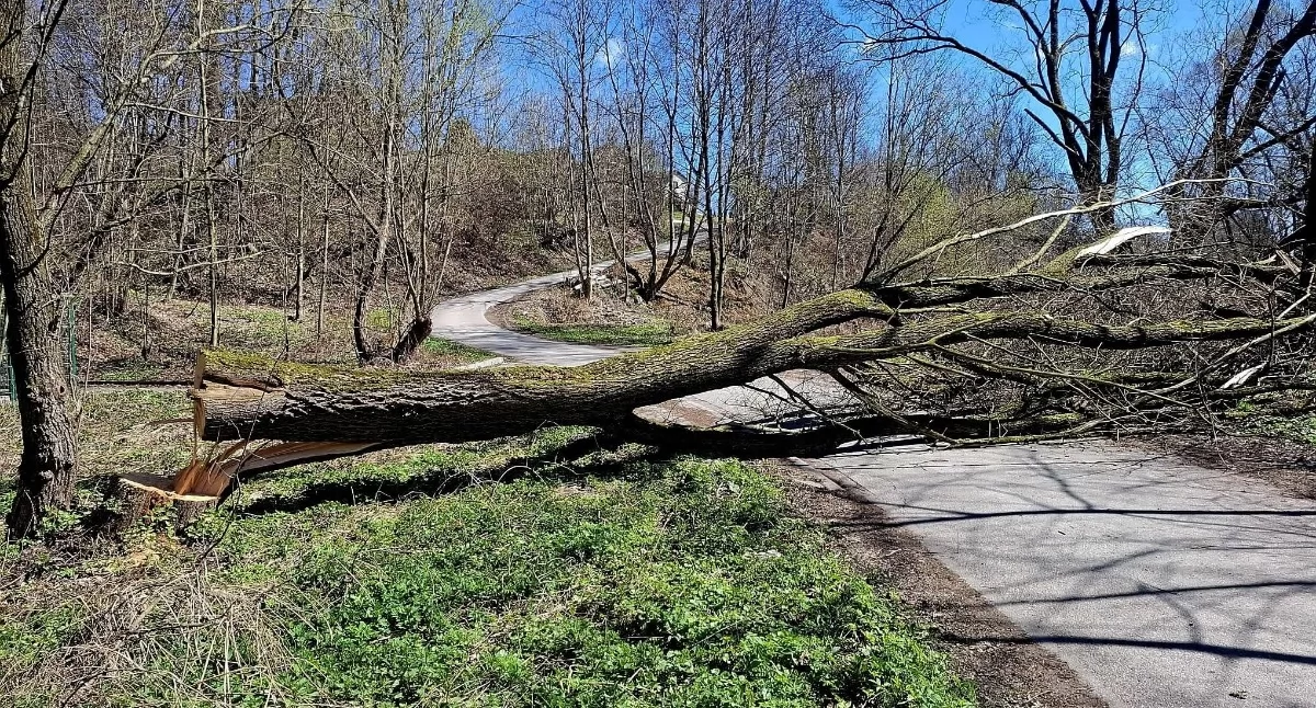 Zdj. OSP Łodygowice 