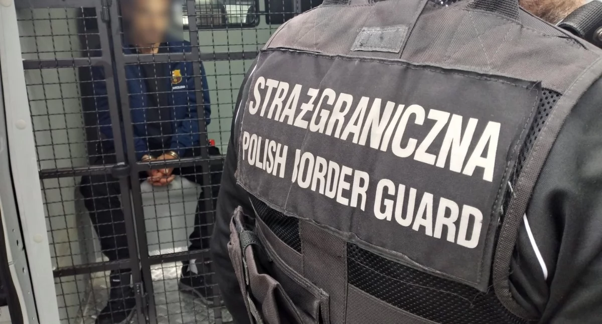 Nasze sprawy, Polska deportuje cudzoziemców łamiących prawo zgodnie nowymi procedurami - zdjęcie, fotografia