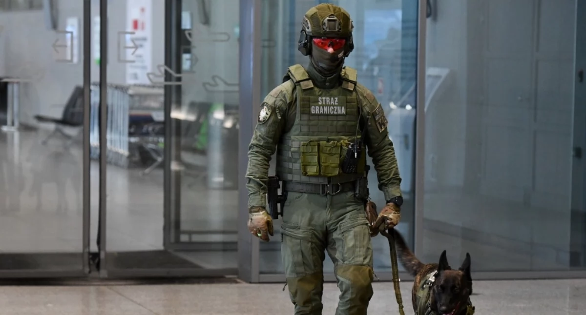 Nasze sprawy, Straż Graniczna Sosnowca wydała decyzji powrocie cudzoziemców - zdjęcie, fotografia