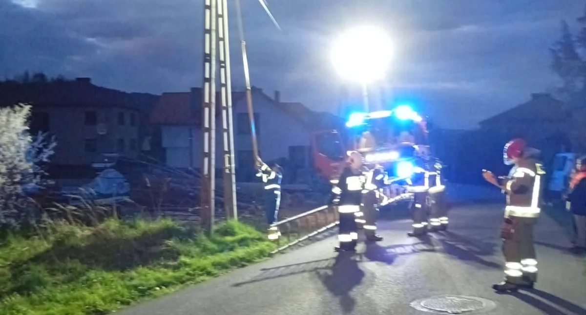 Z remizy, interwencje Sopotnia Mała ratunek ptaka pożar wózka widłowego - zdjęcie, fotografia