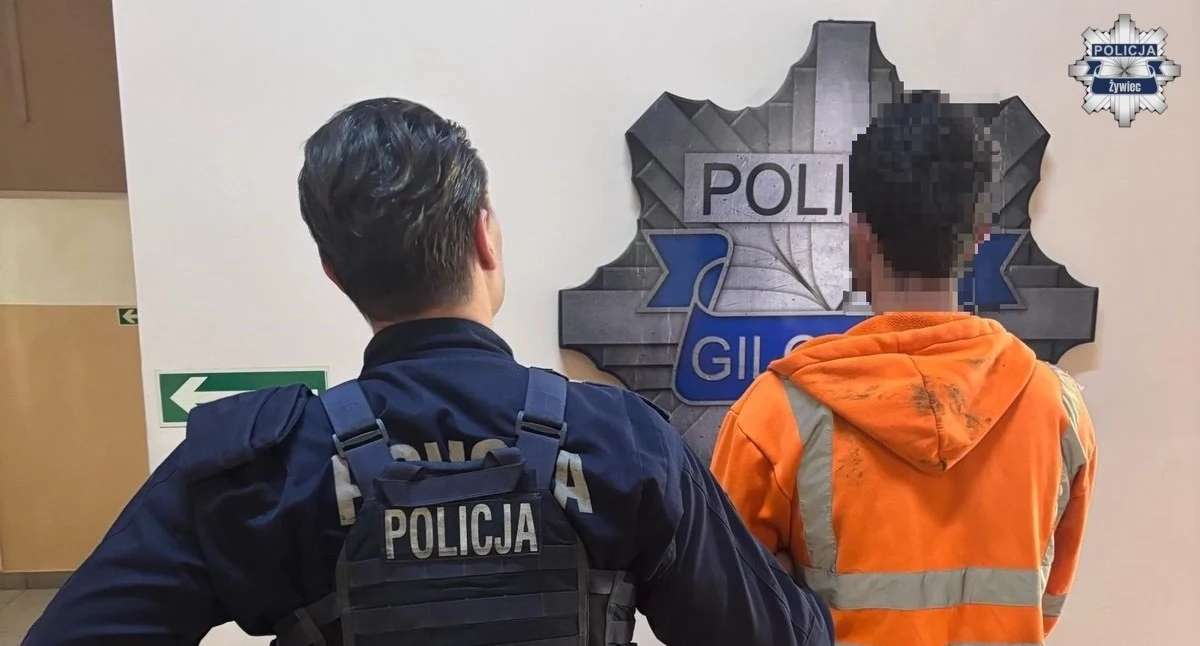 Nasze sprawy, Policja zatrzymała sprawców zniszczeń parku amfiteatrze Łękawicy - zdjęcie, fotografia