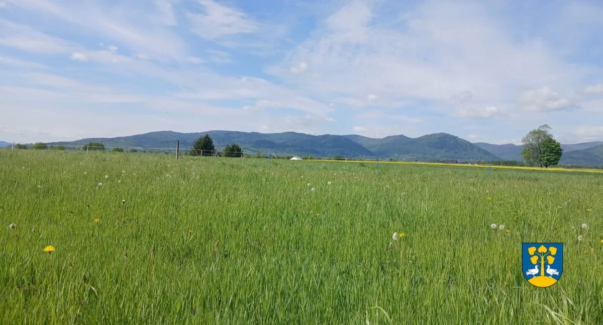 Inwestycje, Gmina Lipowa przyjęła ważny Ogólny myślą przyszłości przestrzennej - zdjęcie, fotografia