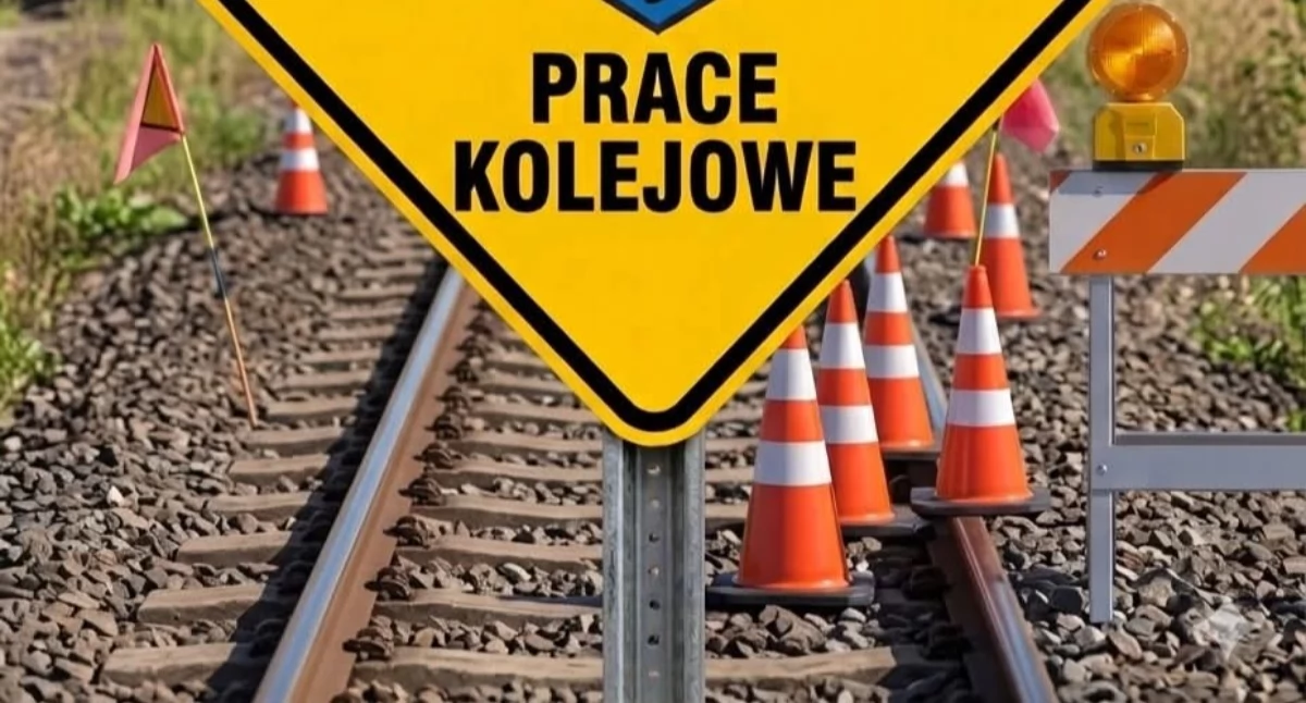 Drogi i Transport, Zmiana organizacji ruchu Kopernika Żywcu - zdjęcie, fotografia