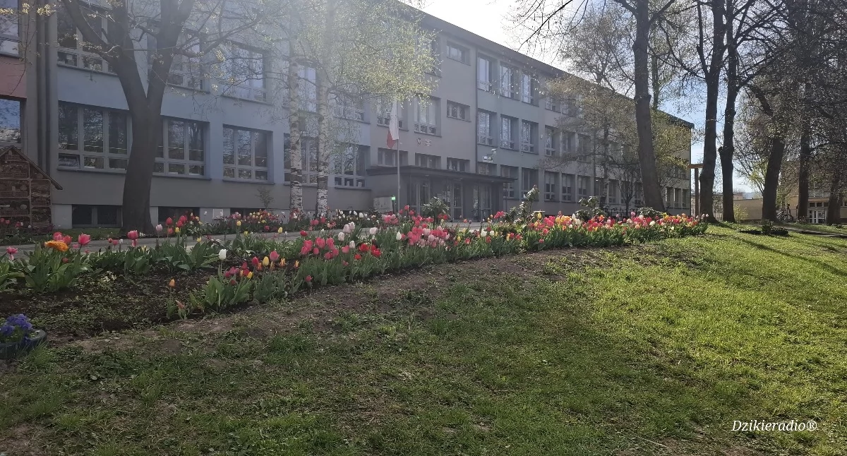 Inwestycje, Pracownia chmurką Żywcu wspiera edukację ekologiczną - zdjęcie, fotografia