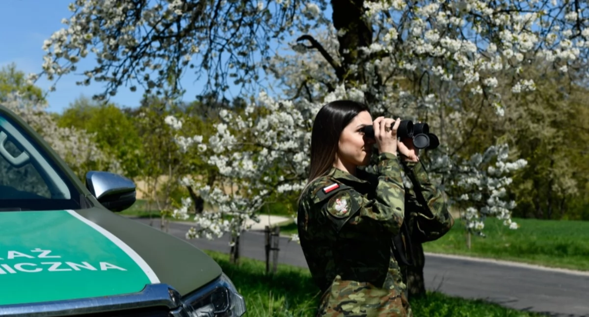 Nasze sprawy, Nielegalny pobyt cudzoziemców Polsce lupą Straży Granicznej - zdjęcie, fotografia