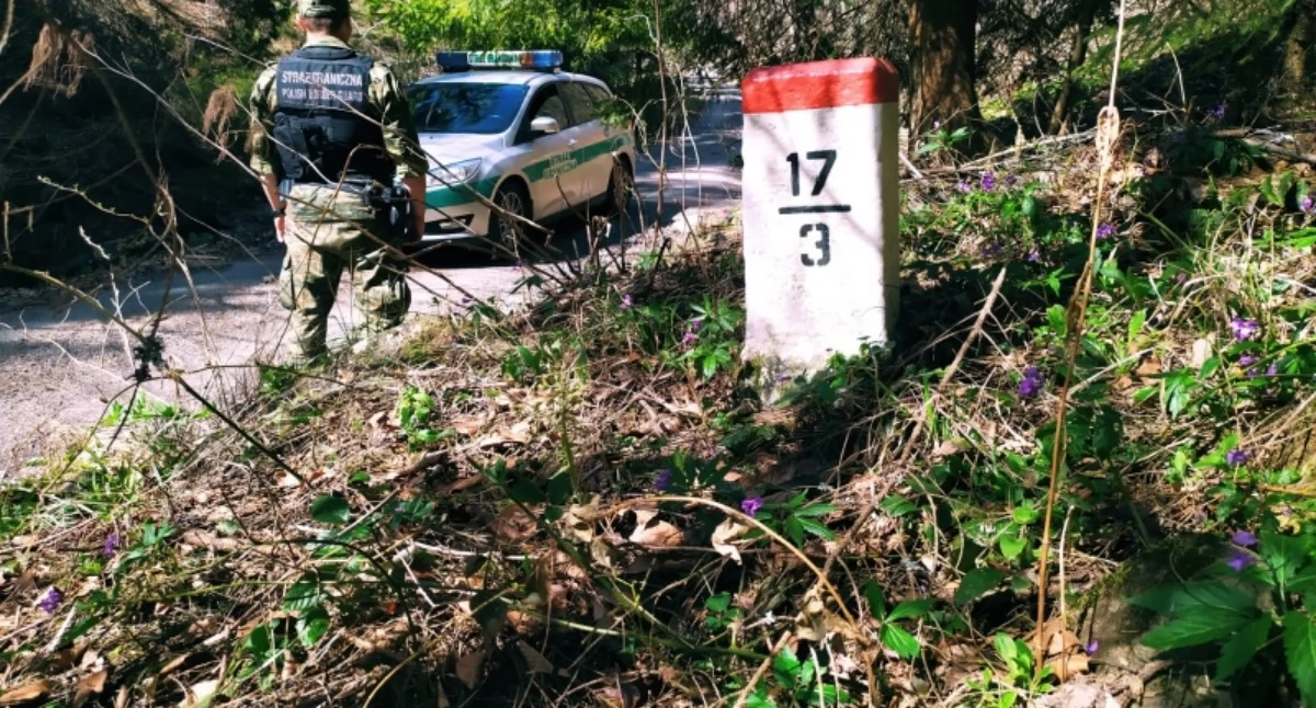 Nasze sprawy, Straż Graniczna zatrzymała cudzoziemców pracujących przebywających nielegalnie Polsce - zdjęcie, fotografia