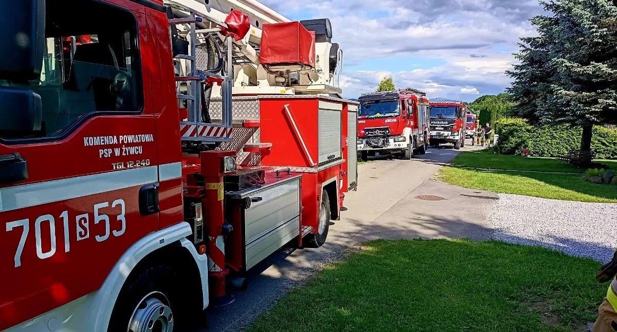 Zdj OSP Łodygowice