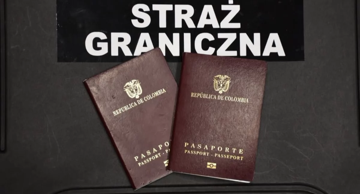 Zdj Straż Graniczna