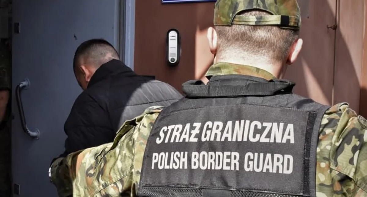 Nasze sprawy, Straż Graniczna wydala latka kolizji drogowej wielokrotnych naruszeniach - zdjęcie, fotografia