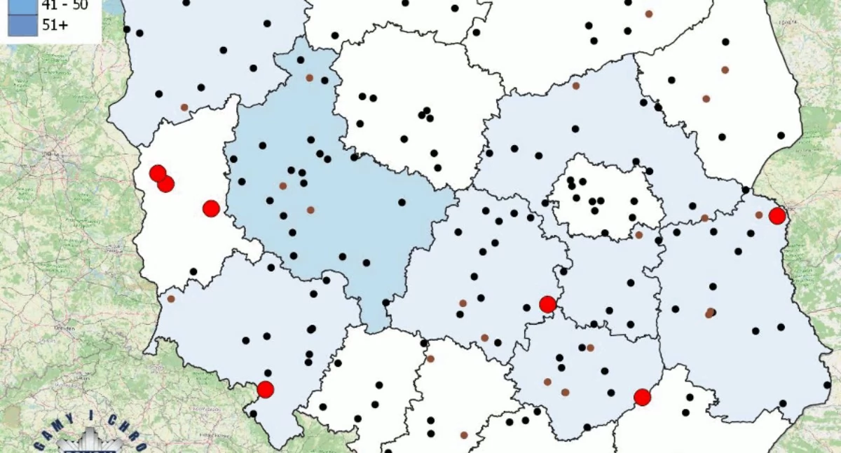 Nasze sprawy, Policja prezentuje mapę tragicznych wypadków drogowych podczas wakacji - zdjęcie, fotografia