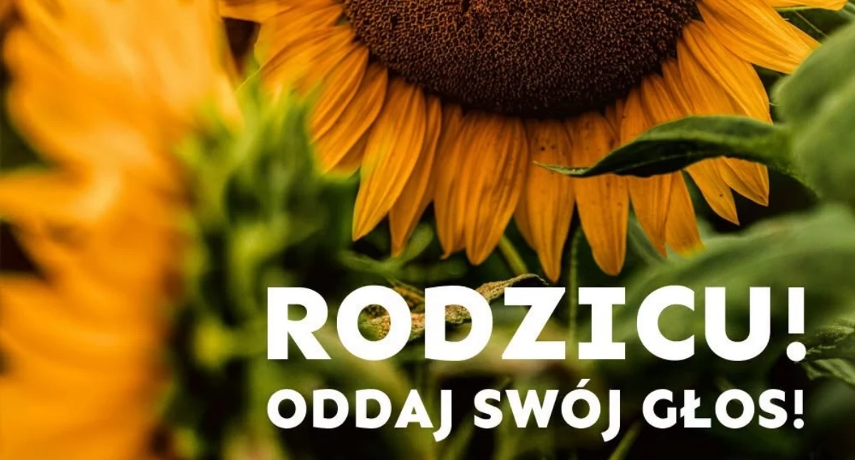 Nasze sprawy, Pomóż dzieciom odkrywać przyrodę Beskidów zagłosuj Piknik Żywcu - zdjęcie, fotografia