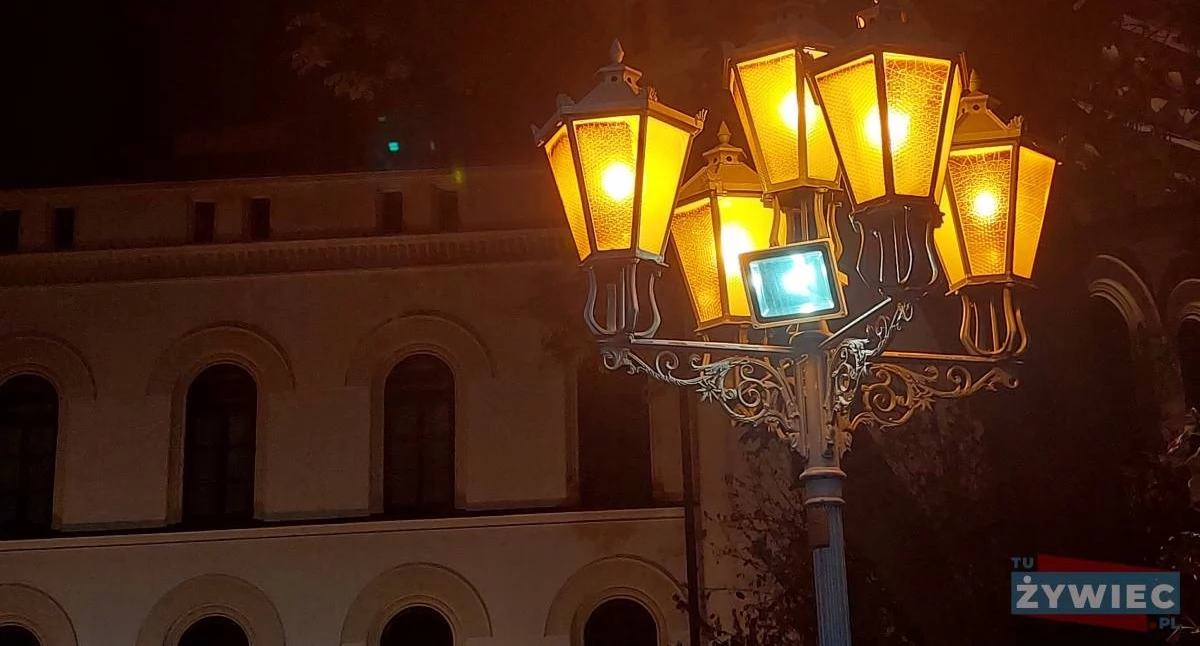 Historia, Żywiec walczył Polskę wieku niepodległości - zdjęcie, fotografia