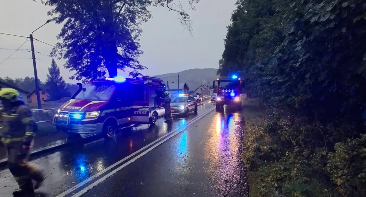 Blokada drogi powiatowej Rajcza Ujsoły po powalonym drzewie