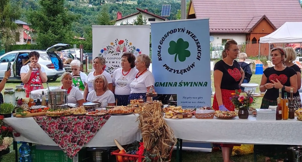 Zdj Starostwo Powiatowe w Żywcu