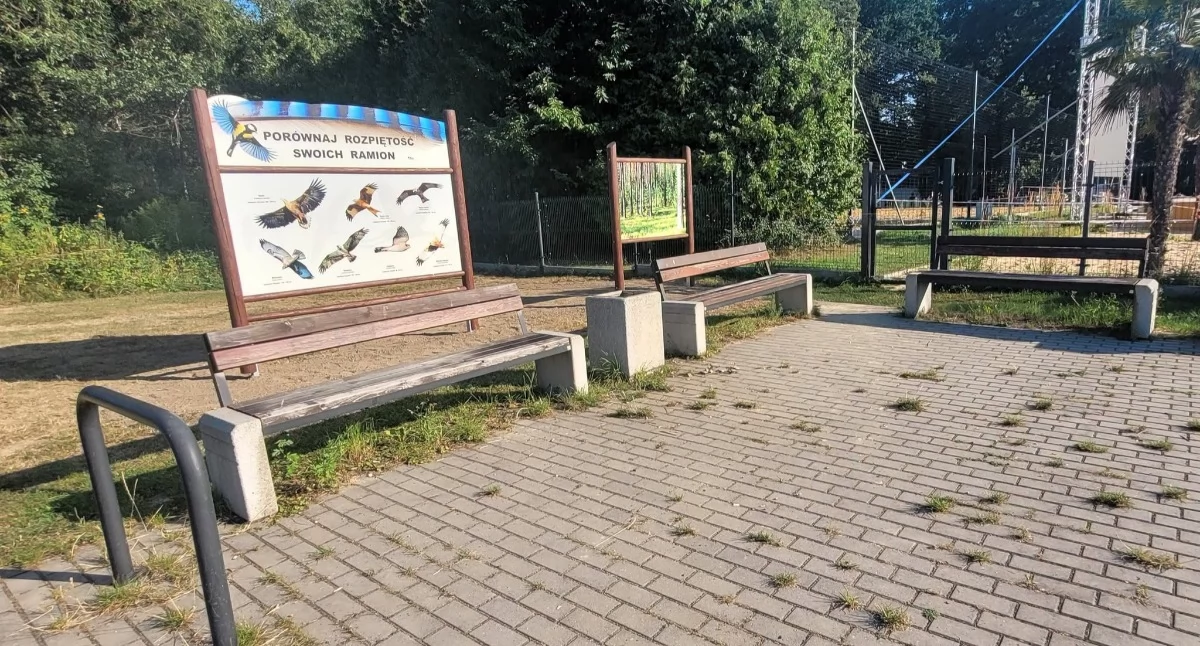 Zdj Antoni Szlagor