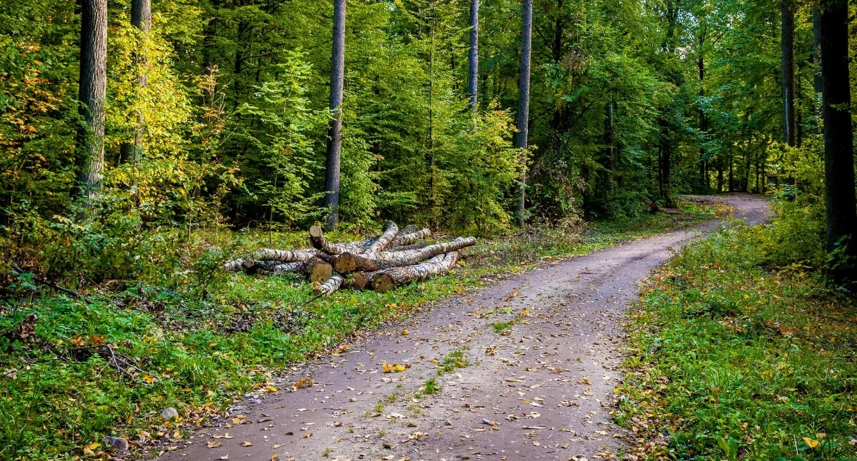 Nasze sprawy, Bielsko Biala wystawia sprzedaż ponad arów Kamienicy - zdjęcie, fotografia