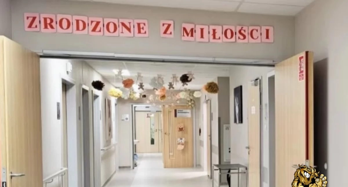Nasze sprawy, Spada liczba porodów Szpitalu Żywiec placówka przyszłość - zdjęcie, fotografia
