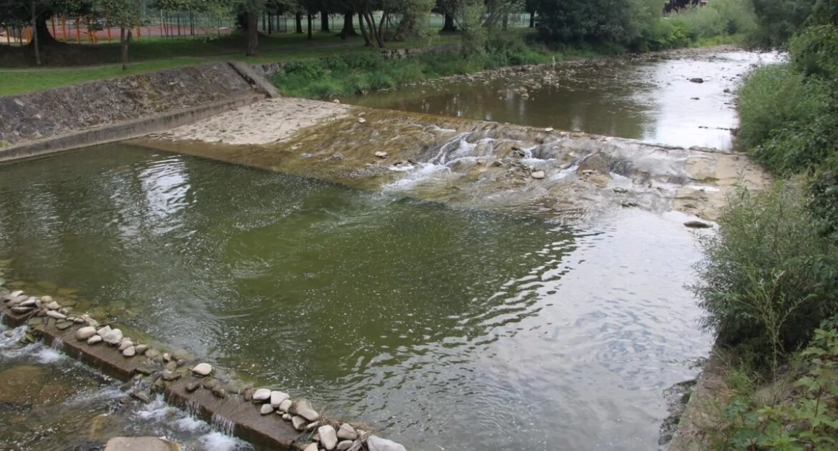 Fot Paweł Szczotka